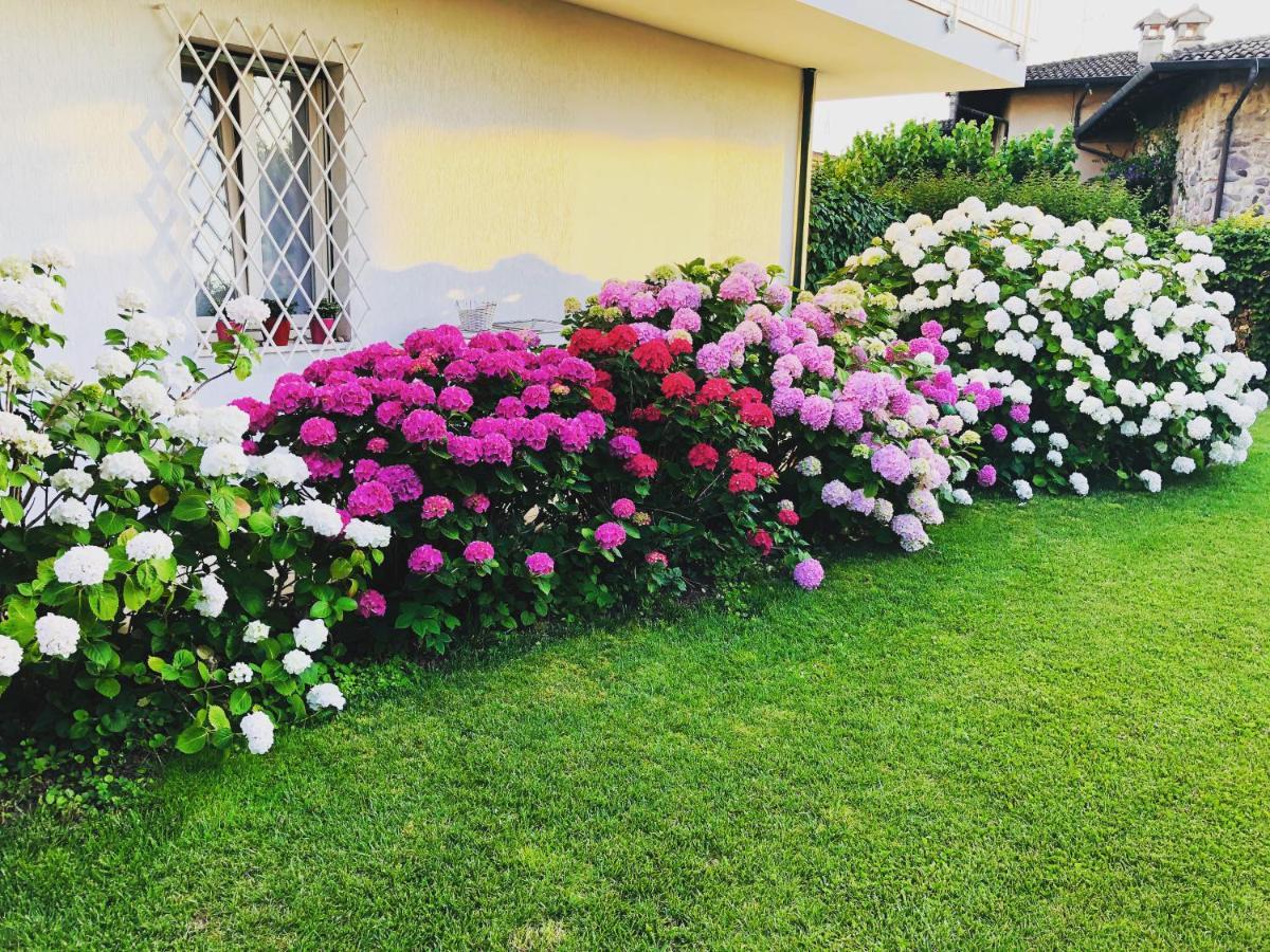 Bed And Breakfast Da Beatrice Sirmione Dış mekan fotoğraf